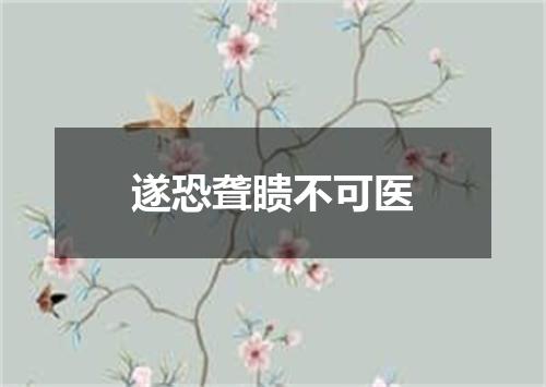 遂恐聋瞆不可医