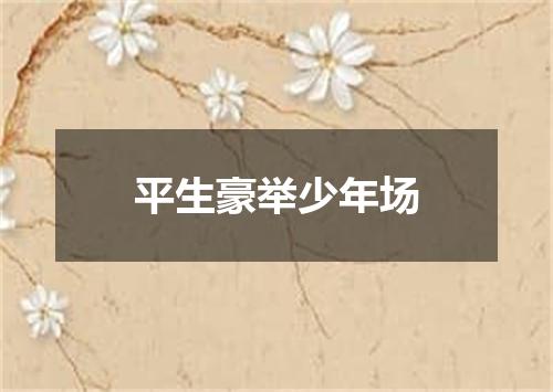 平生豪举少年场