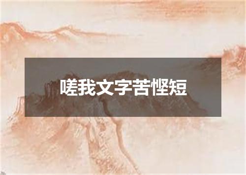 嗟我文字苦悭短