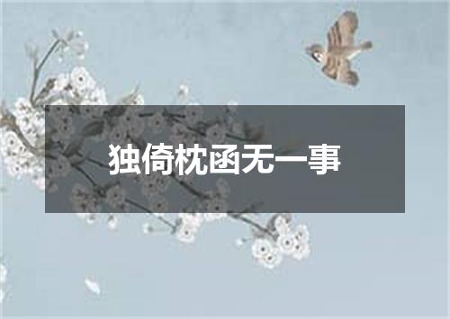 独倚枕函无一事