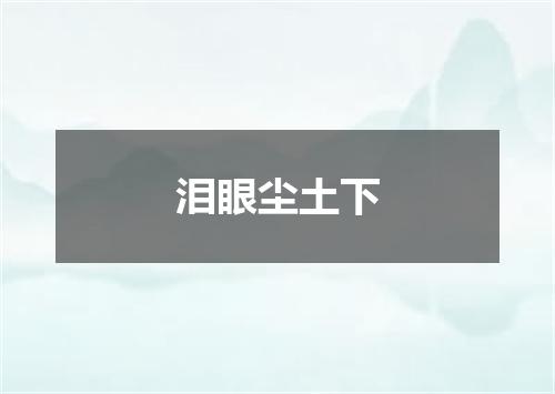 泪眼尘土下