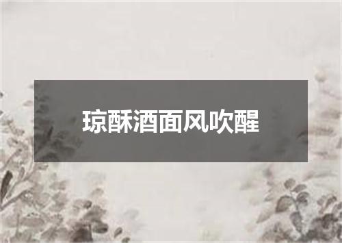 琼酥酒面风吹醒