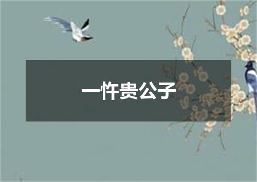 一忤贵公子