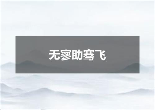 无寥助骞飞