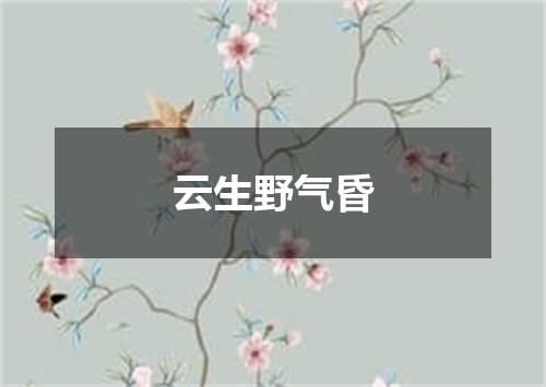 云生野气昏