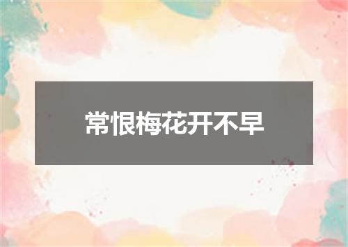 常恨梅花开不早