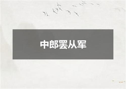 中郎罢从军