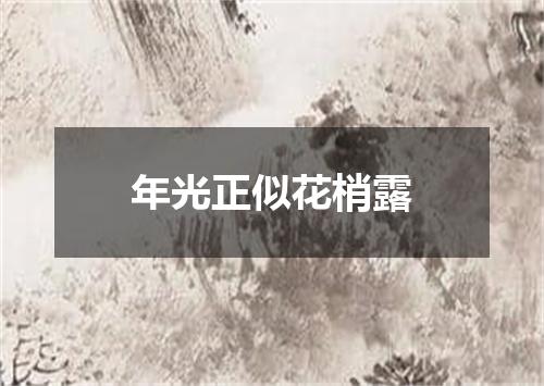 年光正似花梢露