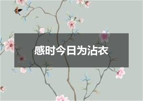 感时今日为沾衣