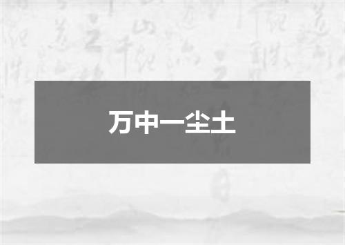 万中一尘土