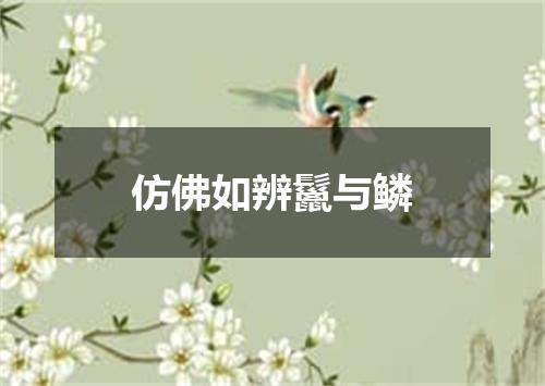 仿佛如辨鬣与鳞