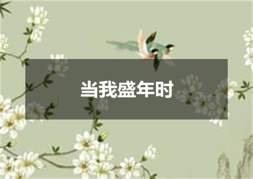 当我盛年时