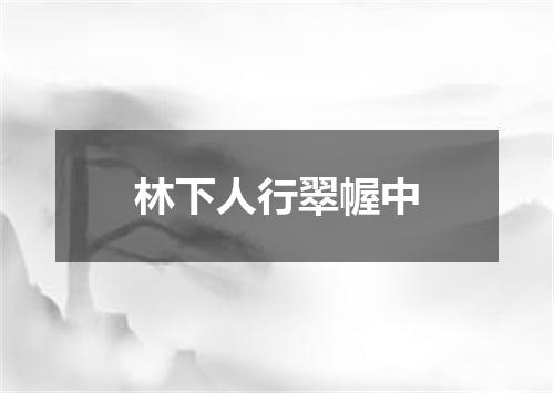 林下人行翠幄中