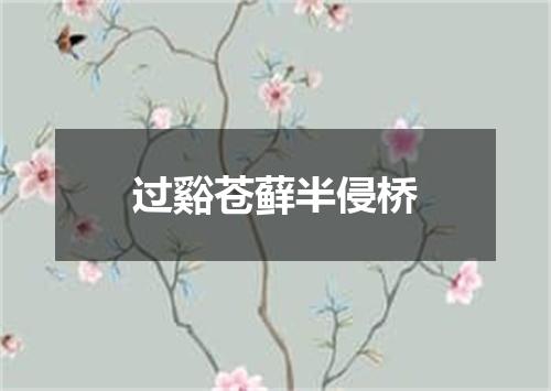 过谿苍藓半侵桥