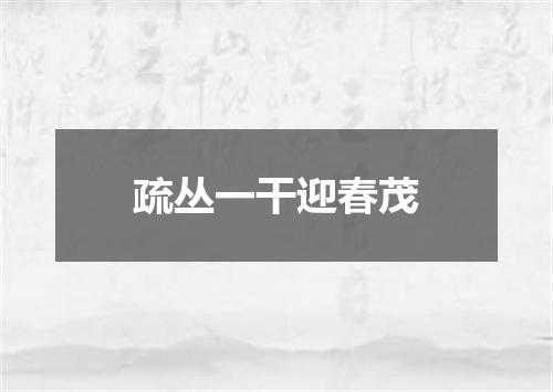疏丛一干迎春茂
