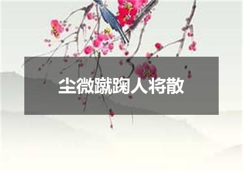 尘微蹴踘人将散