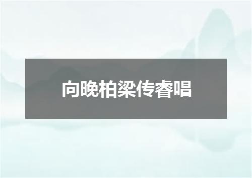 向晚柏梁传睿唱