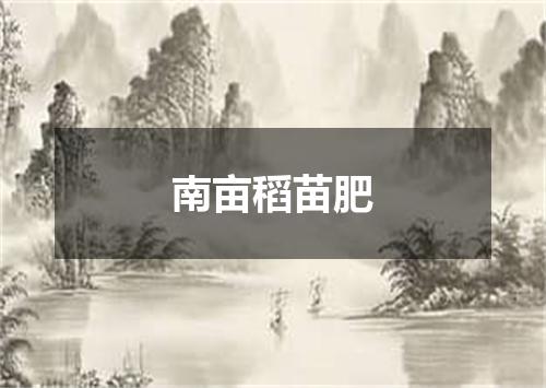 南亩稻苗肥