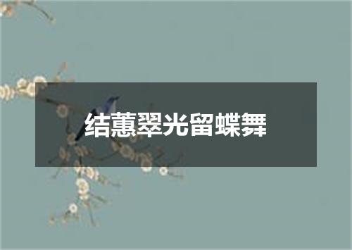 结蕙翠光留蝶舞