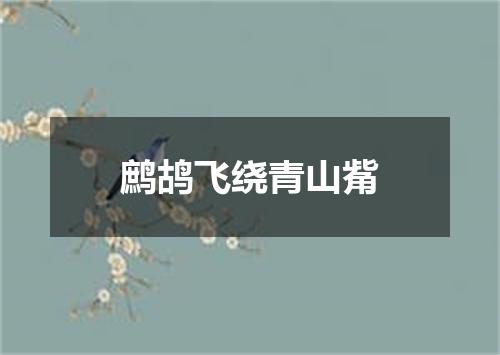 鹧鸪飞绕青山觜