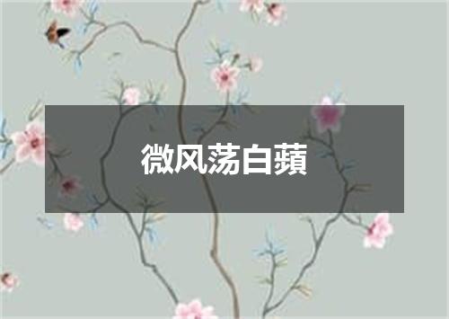微风荡白蘋
