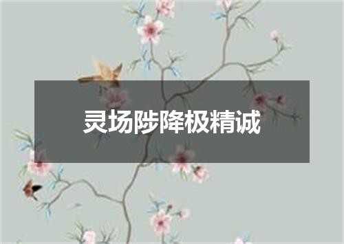 灵场陟降极精诚