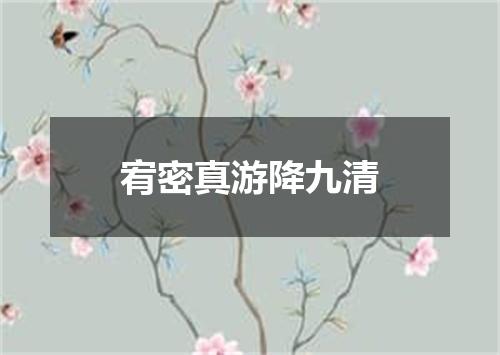 宥密真游降九清