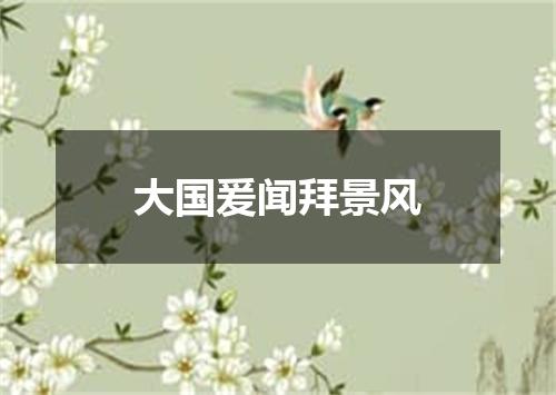 大国爰闻拜景风