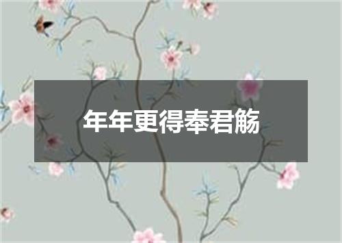 年年更得奉君觞