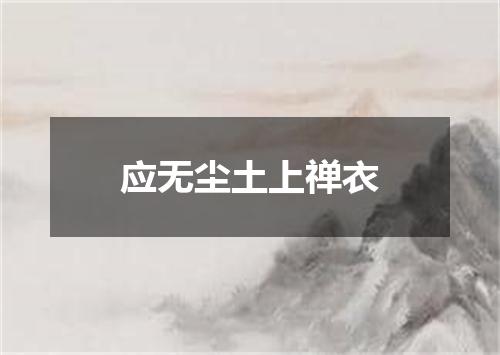 应无尘土上禅衣