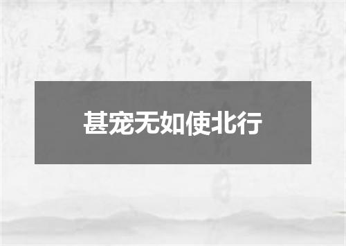 甚宠无如使北行