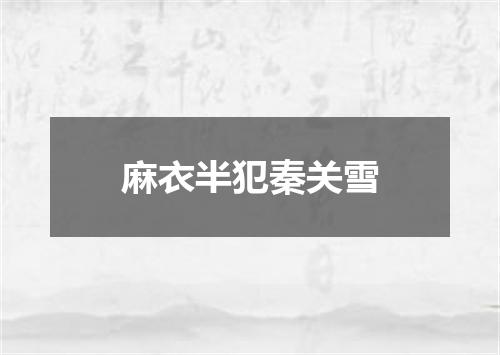 麻衣半犯秦关雪