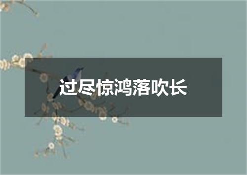 过尽惊鸿落吹长