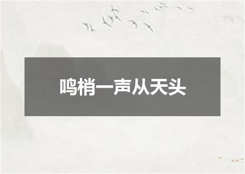 鸣梢一声从天头