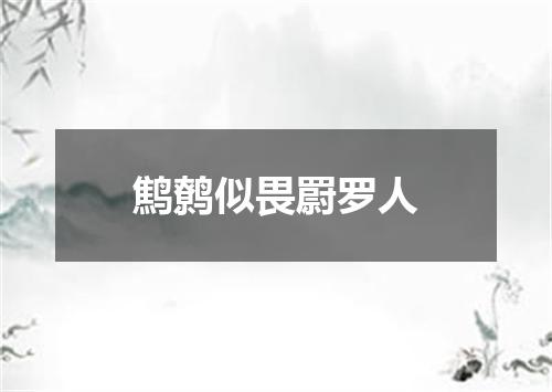 鹪鹩似畏罻罗人