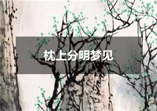 枕上分明梦见
