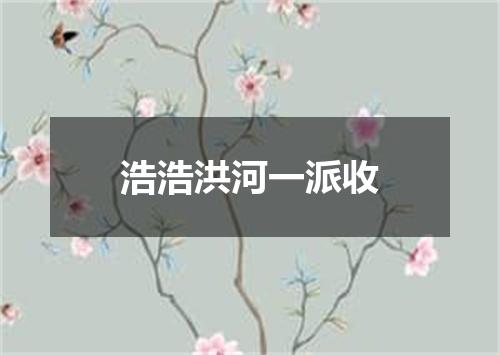 浩浩洪河一派收