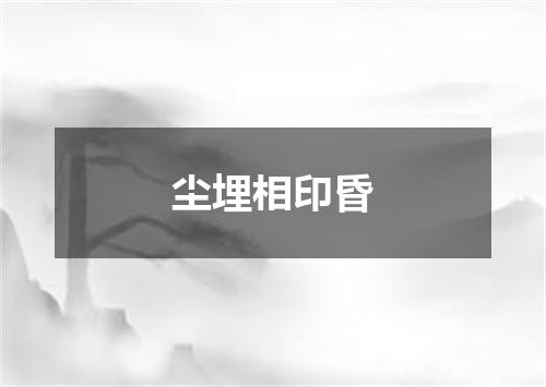 尘埋相印昏