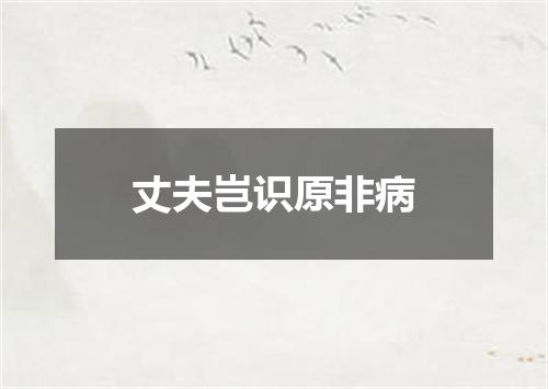 丈夫岂识原非病