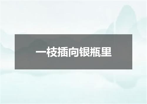 一枝插向银瓶里