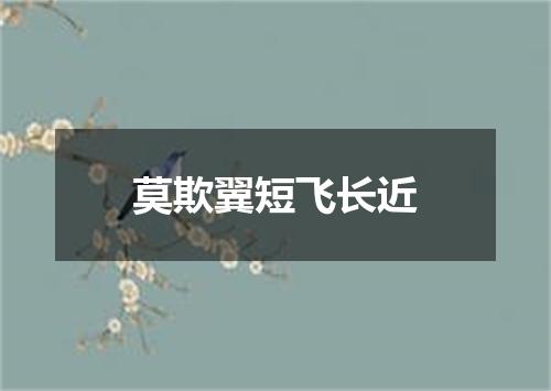 莫欺翼短飞长近