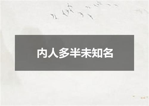 内人多半未知名