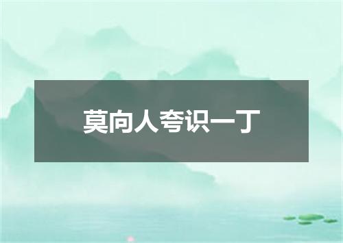 莫向人夸识一丁