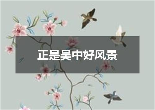 正是吴中好风景