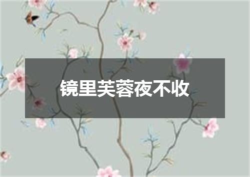 镜里芙蓉夜不收