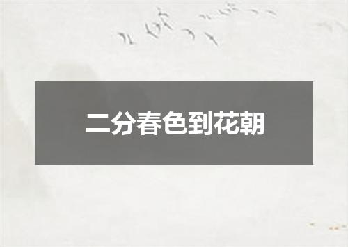 二分春色到花朝