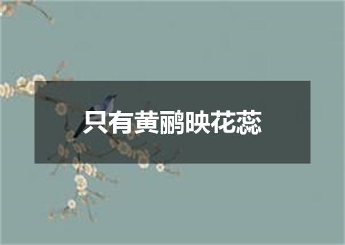只有黄鹂映花蕊