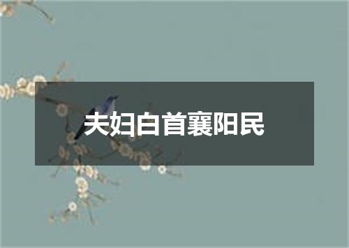 夫妇白首襄阳民