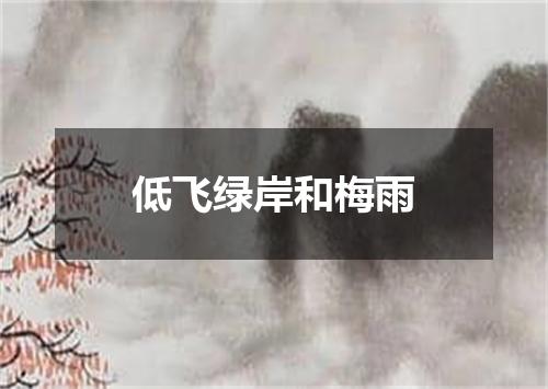 低飞绿岸和梅雨