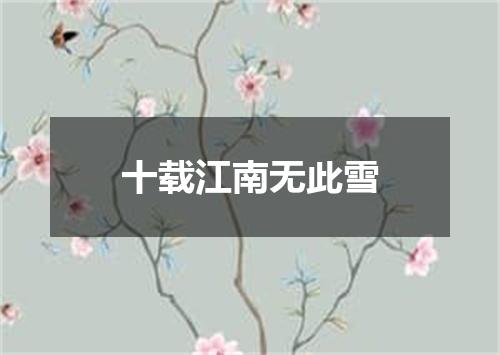 十载江南无此雪
